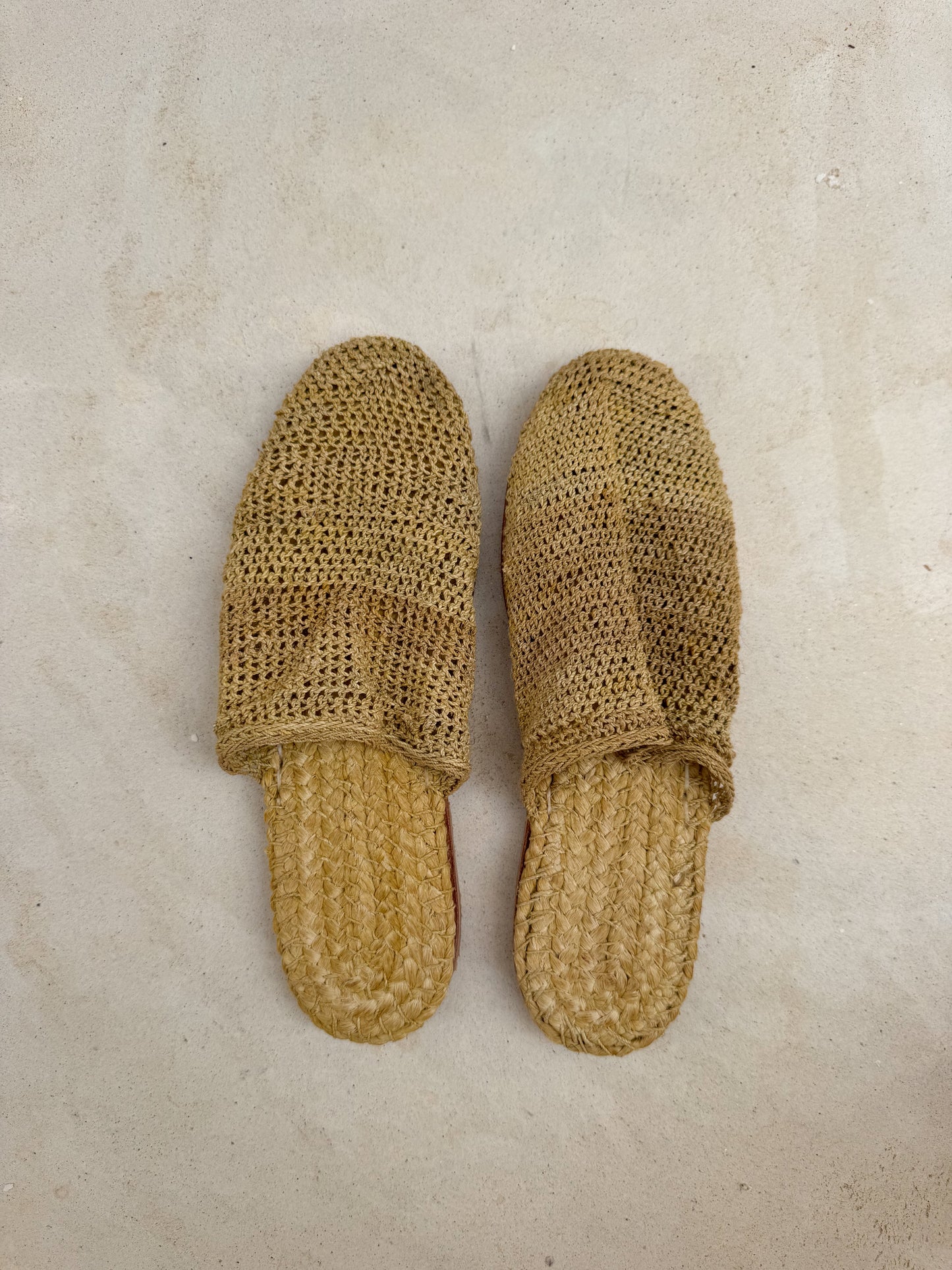 Slipper Tola