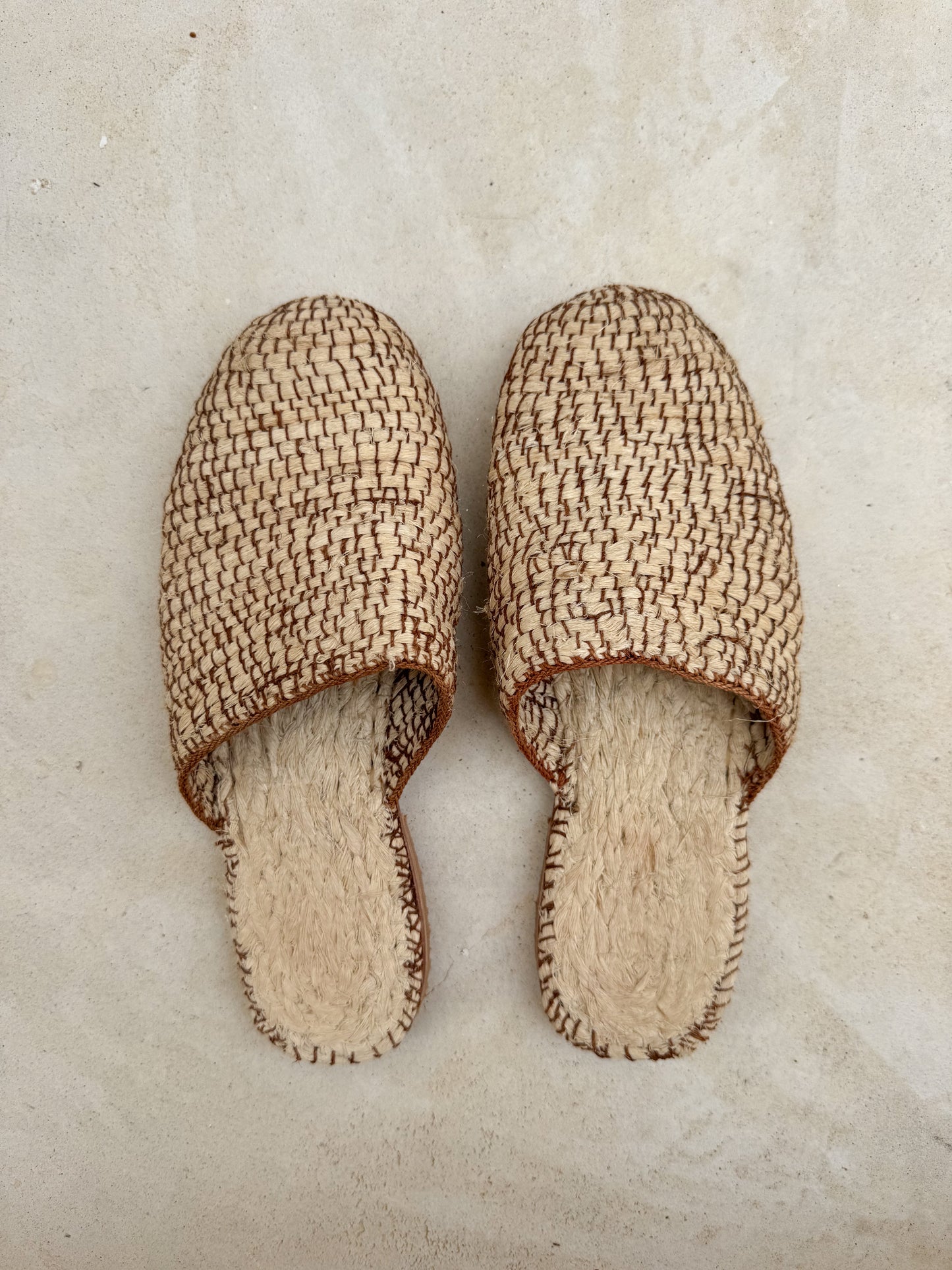 Slipper Cachacoma