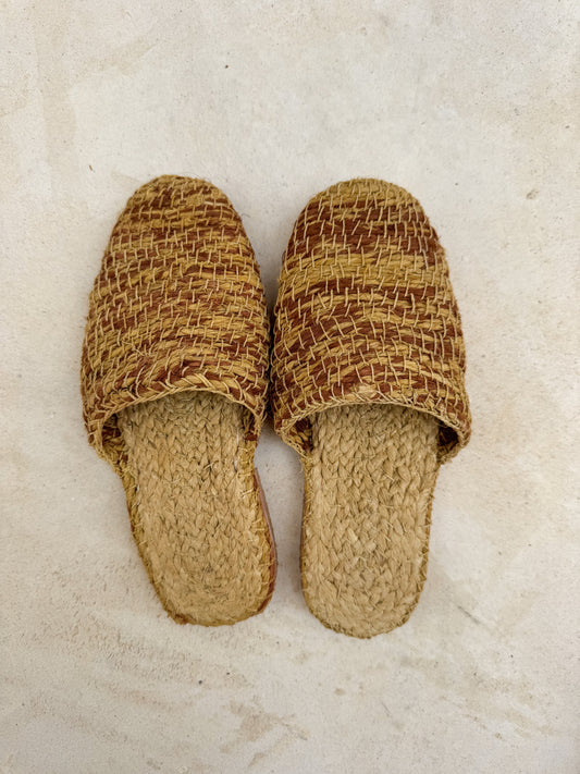 Slipper Vizcacha